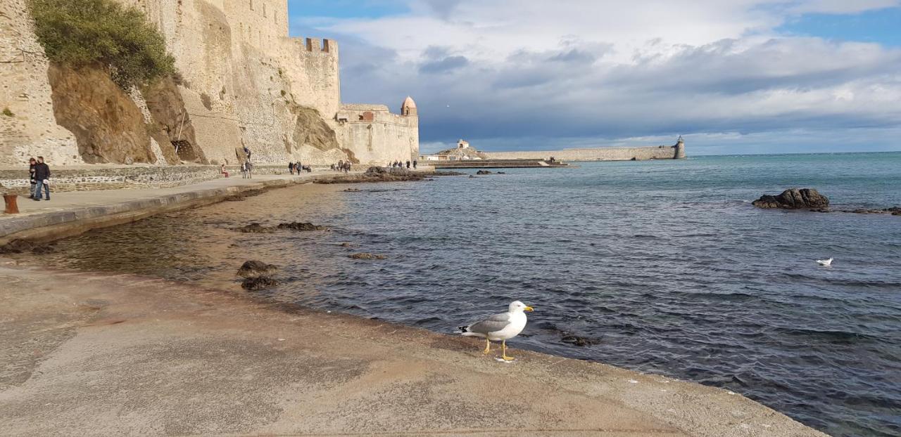 Apartment Et Son Parking Privatif Gratuit Collioure